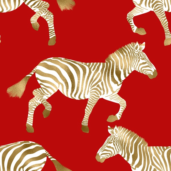 Zebra wallpaper 4