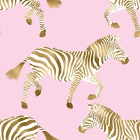 Zebra wallpaper 5 tapete