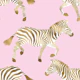 Zebra wallpaper 5
