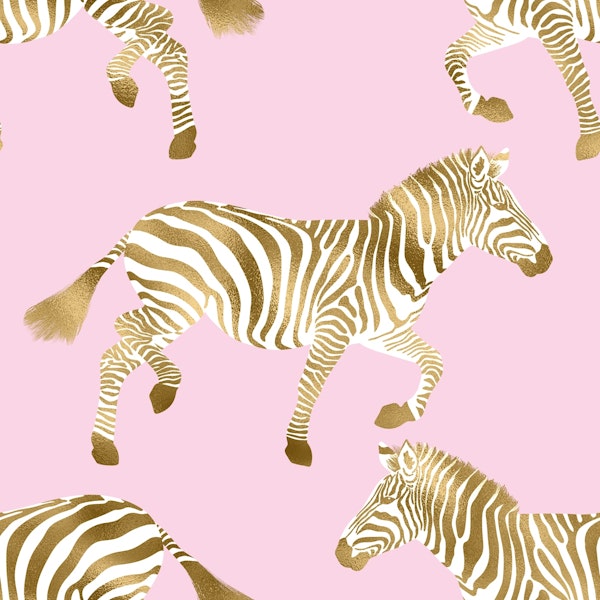 Zebra wallpaper 5
