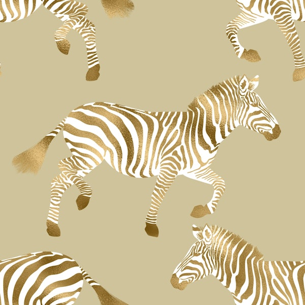 Zebra wallpaper 6