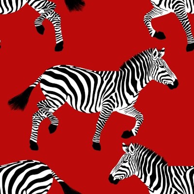 Pattern