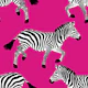 Zebra wallpaper 8 hot pink