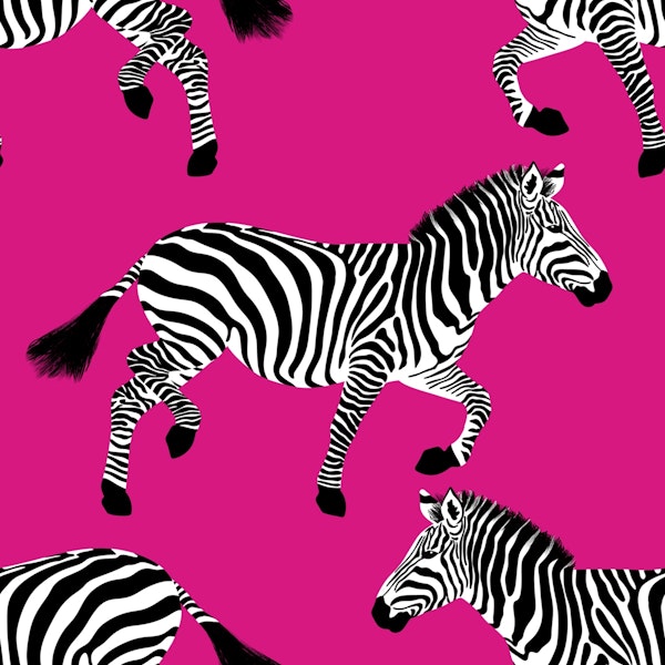 Zebra wallpaper 8 hot pink