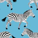 Zebra wallpaper 9 Iceberg Blue