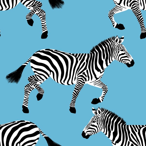 Zebra wallpaper 9 Iceberg Blue