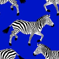 Zebra wallpaper 10 Electric Blue wallpaper