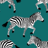 Zebra wallpaper 11 Teal wallpaper