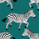 Zebra wallpaper 11 Teal
