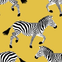 Zebra wallpaper 12 Gold tapete