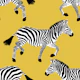 Zebra wallpaper 12 Gold