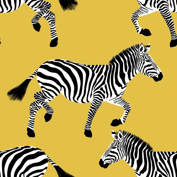Zebra wallpaper 12 Gold