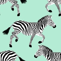 Zebra wallpaper 14 Mint tapete