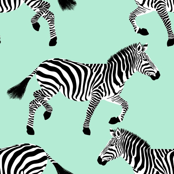 Zebra wallpaper 14 Mint