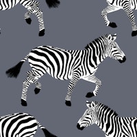 Zebra wallpaper 15 Grey wallpaper