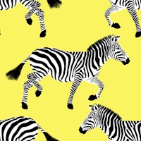 Zebra wallpaper 16 Yellow tapete
