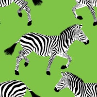 Zebra wallpaper 17 Bud Green tapete