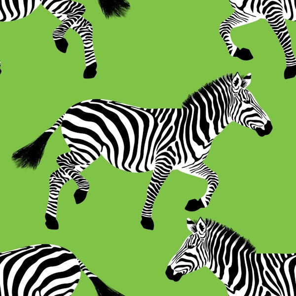 Zebra wallpaper 17 Bud Green