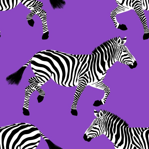 Zebra wallpaper 18 Deep Lilac