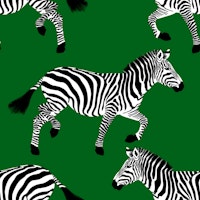 Zebra wallpaper 19 Dark Green wallpaper