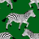 Zebra wallpaper 19 Dark Green