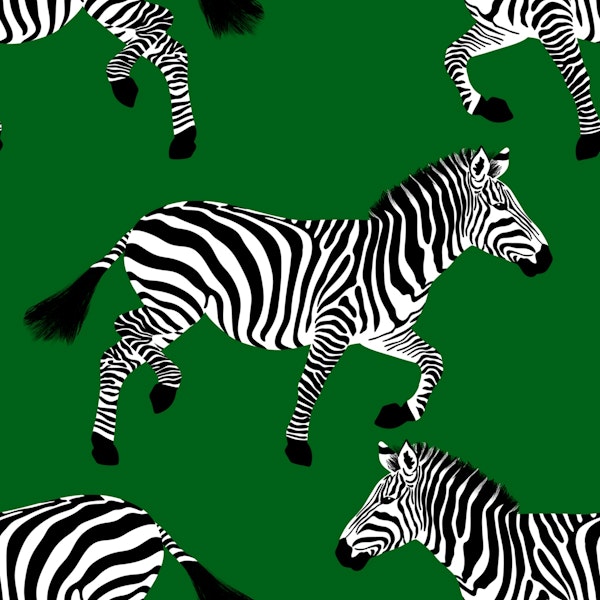 Zebra wallpaper 19 Dark Green