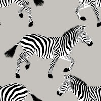 Zebra wallpaper 20 Silver tapete