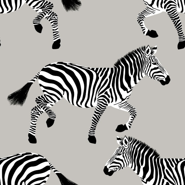 Zebra wallpaper 20 Silver