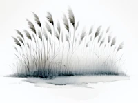 Ethereal Grasses Grace wallpaper