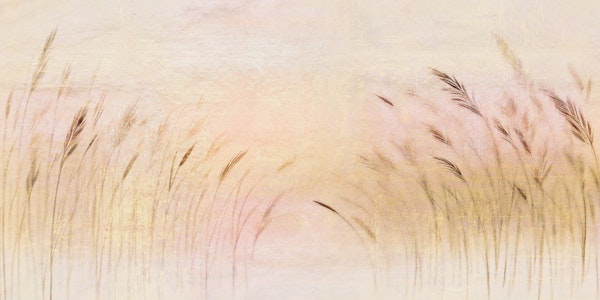 Tranquil Reeds Design