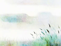 Ethereal Grassland Hues wallpaper