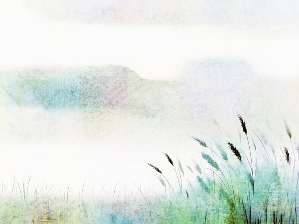 Ethereal Grassland Hues
