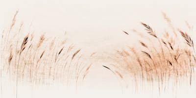 Τοιχογραφία