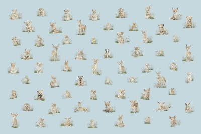 Τοιχογραφία