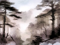 Woodland Silence tapety