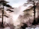 Woodland Silence