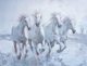 Wild Majestic Horses - cool white