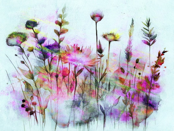 Wildflower Watercolor Dream