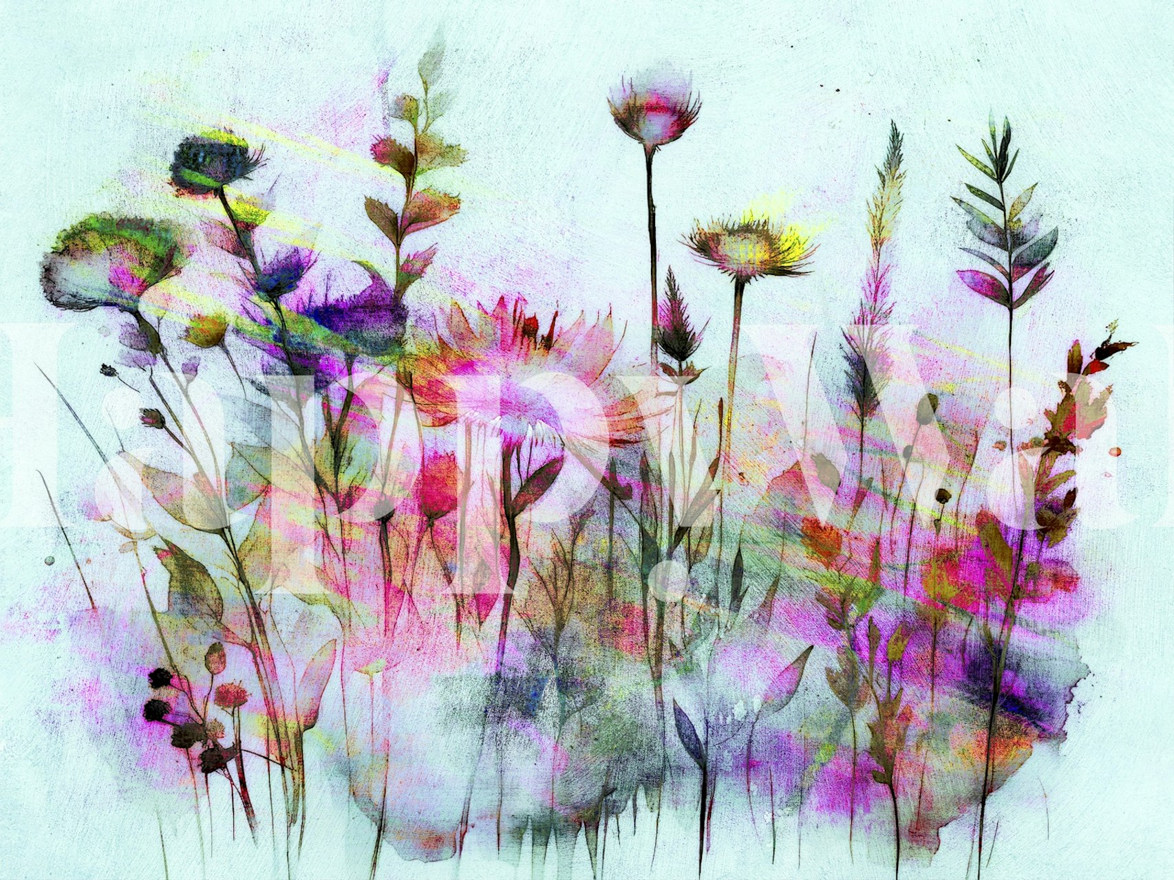 Wildflower watercolor wallpaper displayed in a room