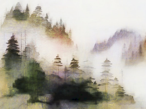 Japandi Forest Mist