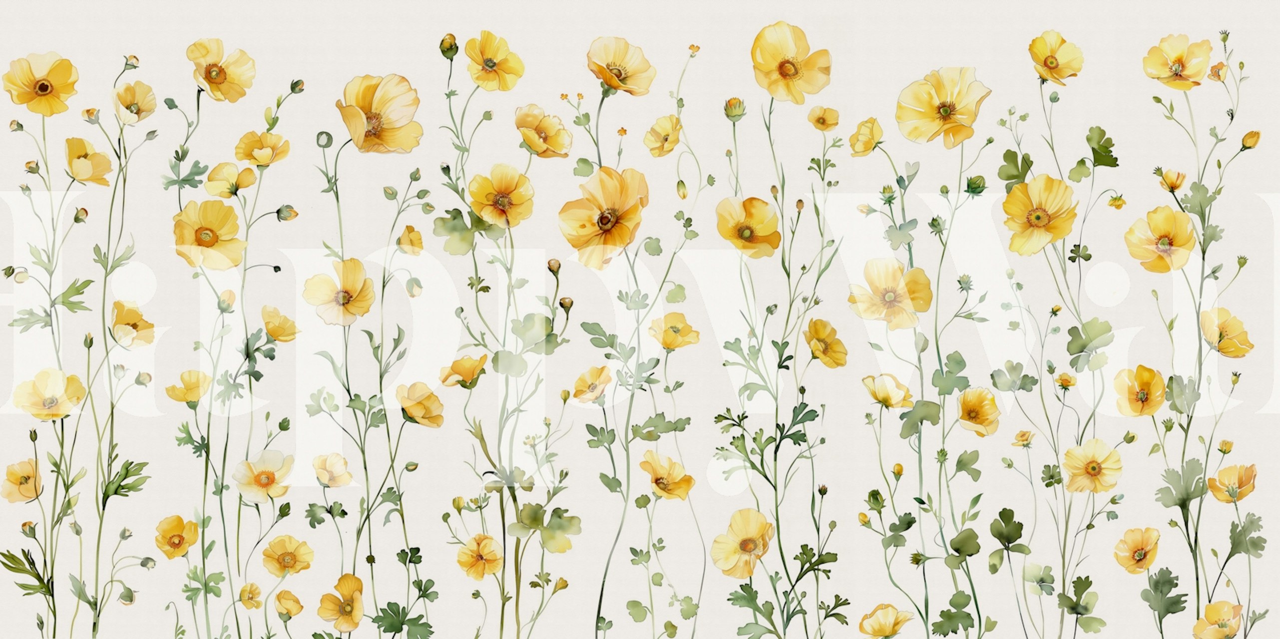 Yellow flowers on green stems against a soft background wallpaper