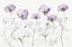 Pastel Petals - lila
