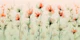 Translucent Garden - red