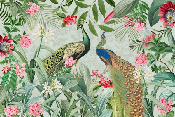 Blue Peacock Exotic Jungle Garden