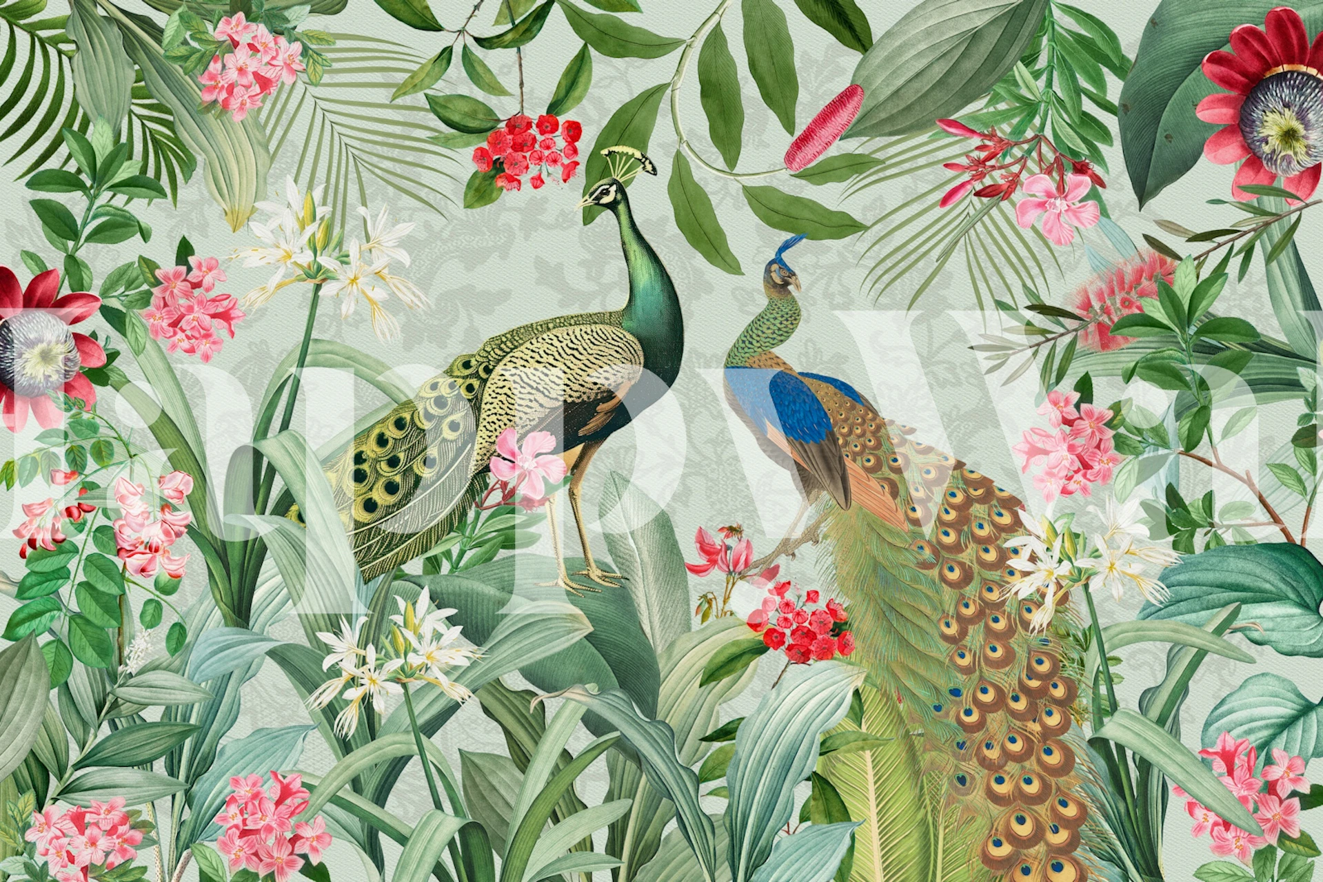 Projekt tapety Blue Peacock Exotic Jungle Garden