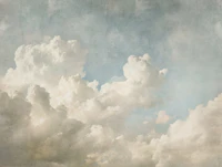 Cloud Fresco Dream Texture papel de parede