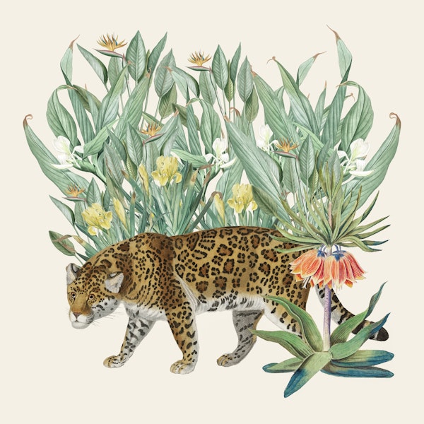 Floral Tiger Jungle