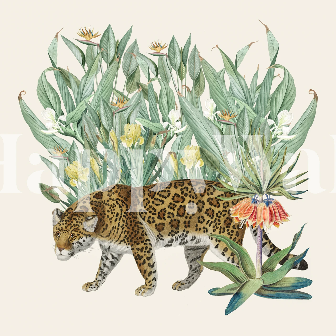 Floral wallpaper featuring a tiger and tropical plants in vibrant colors