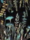 Enchanted Flora Glow