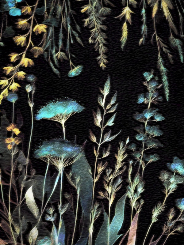 Enchanted Flora Glow